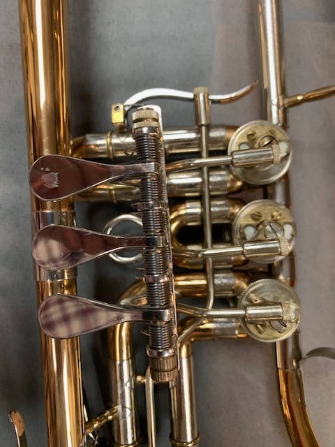 Bugle a palette Ceverny bugle ceverny 4