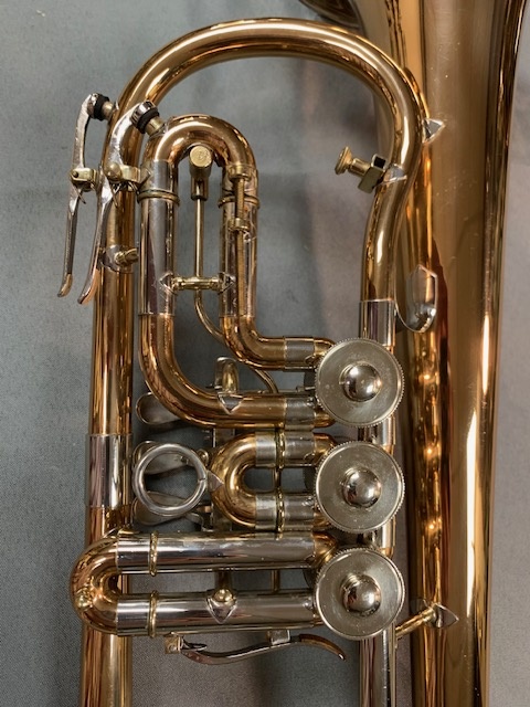 Bugle a palette Ceverny bugle ceverny 5