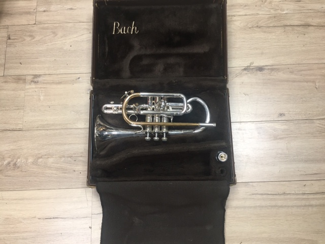 Cornet sib Bach 184 cornetbach1