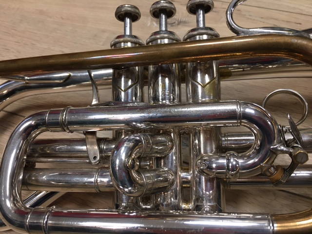 Cornet sib Bach 184 cornetbach1 3