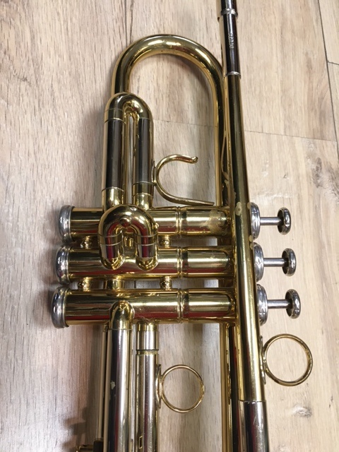 holtonmf 5