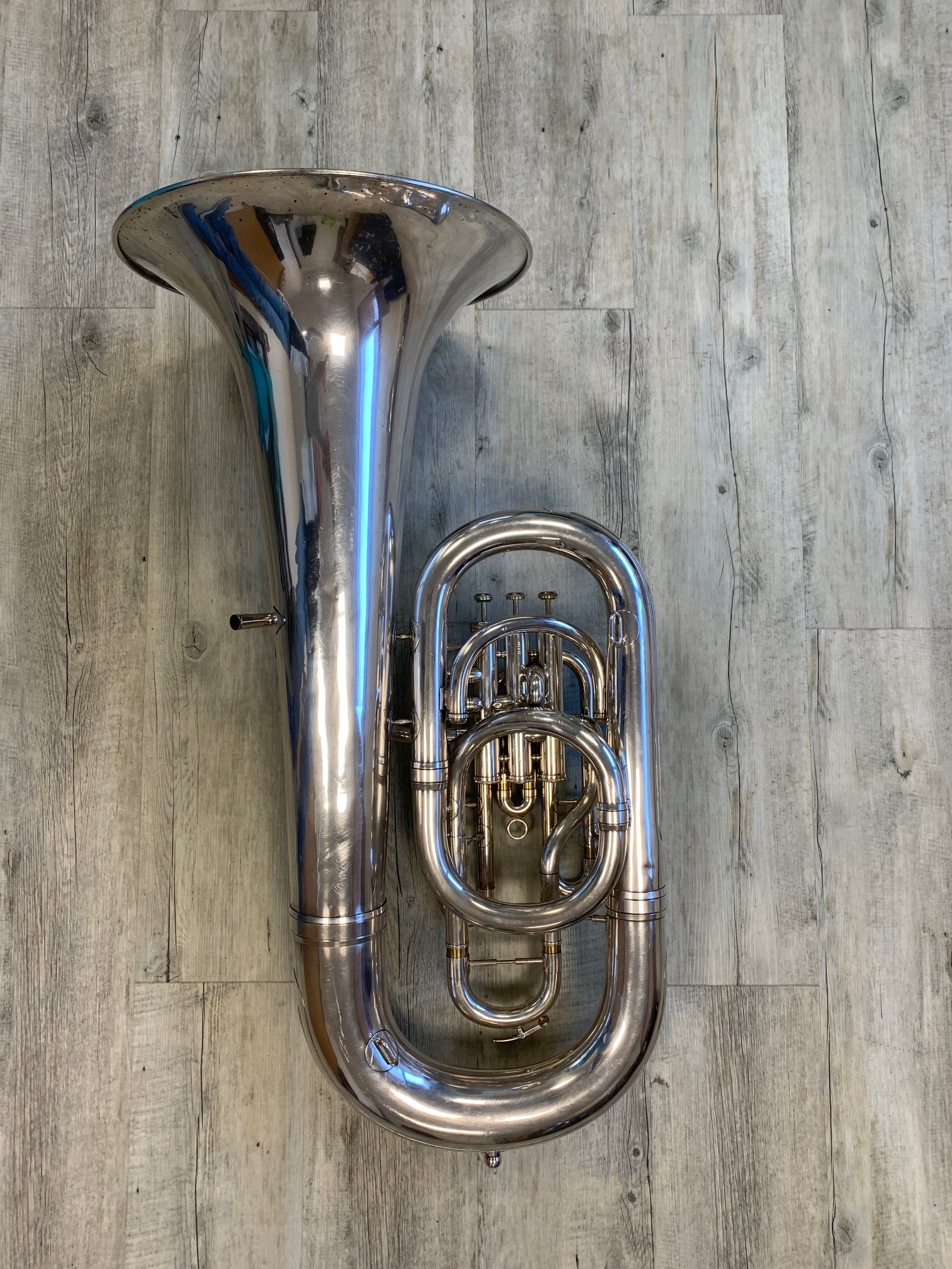 Contrebasse Mib Willson img 0008