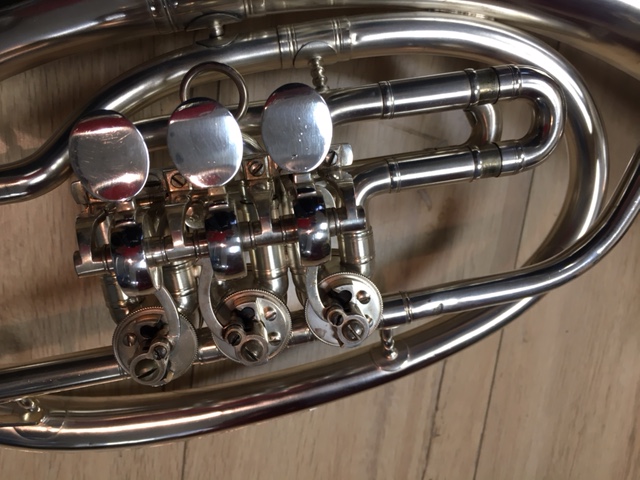 Alto Mib Hirsbrunner img 1093