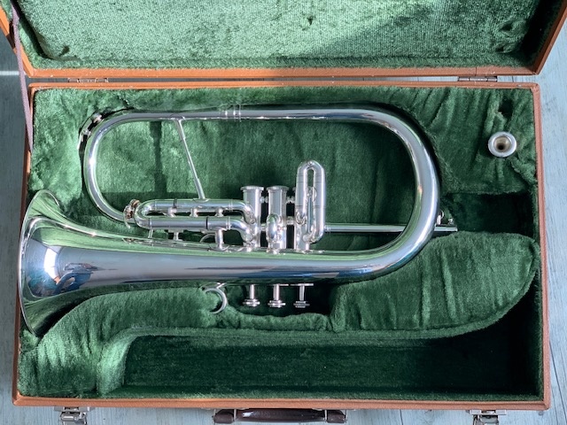 Bugle Willson img 9733