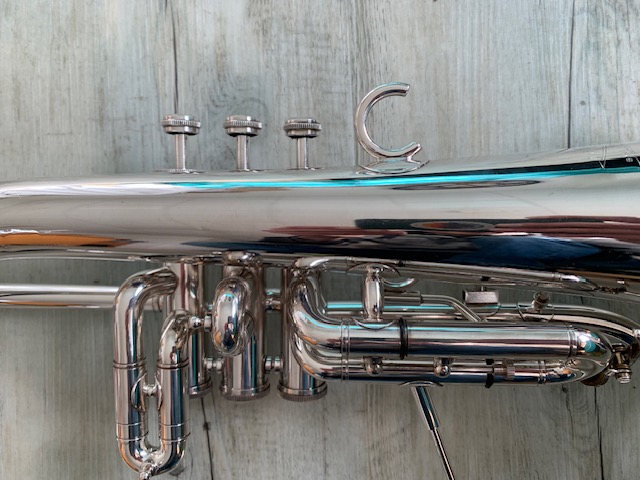 Bugle Willson img 9737