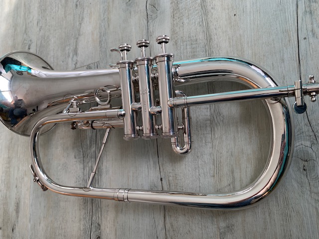 Bugle Willson img 9739