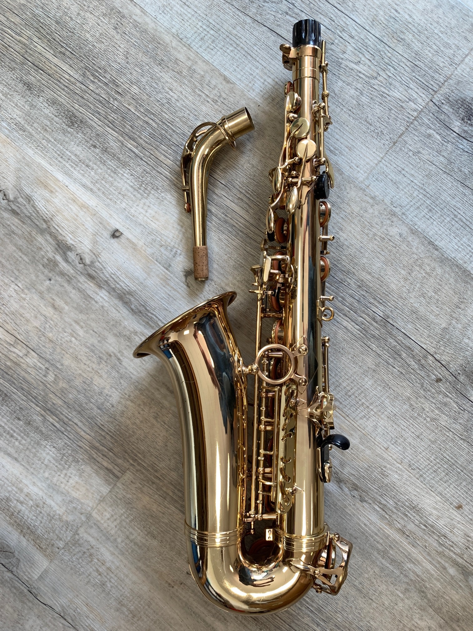 Saxophone Alto Selmer Série 2 saxaltos2 3100 1