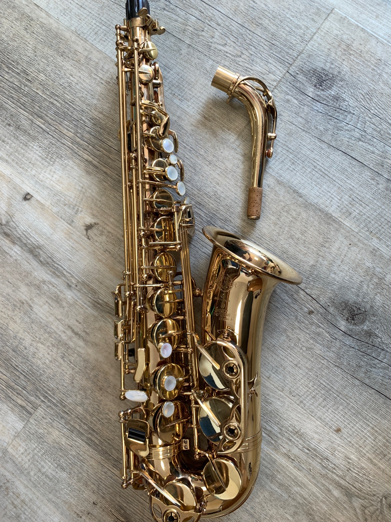 saxaltos2 3100 5
