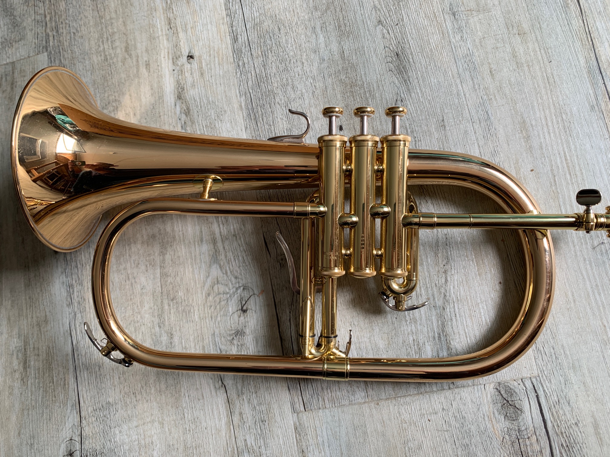 Bugle Sib YHR 8310 ZG yfh8310zg_1_1713662389