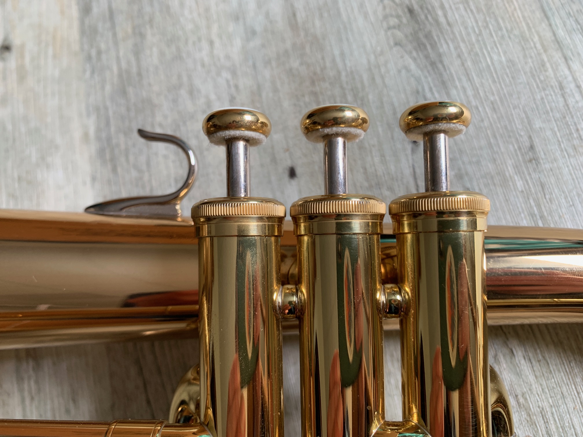 Bugle Sib YHR 8310 ZG yfh8310zg_3_976280150